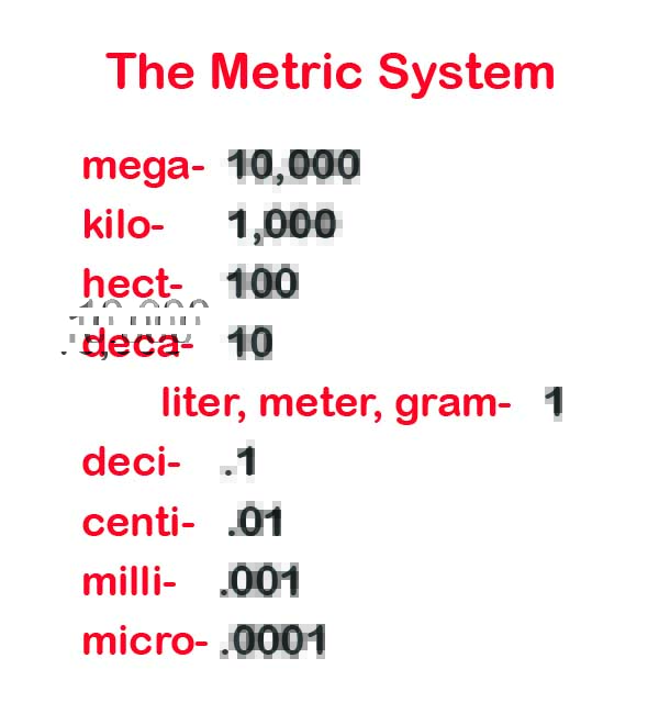 metric-system-review-mastering-biology-quiz